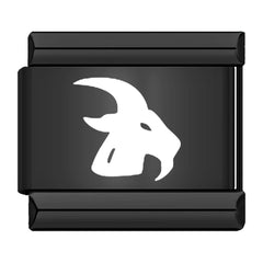 Capricorn